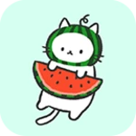 watermelon kitty cat theme android application logo